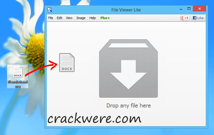 File Viewer Plus 4.0.2.4 Crack With Serial Key Download 2022 (Windows/Mac)